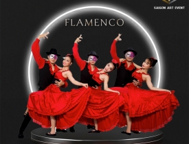 Flamenco đỏ đen